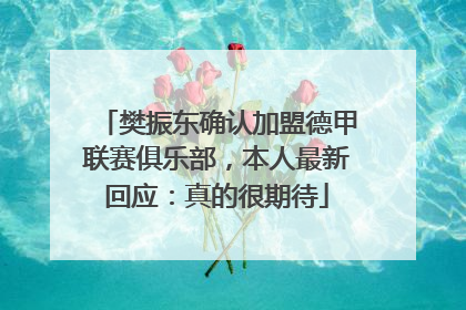 樊振东确认加盟德甲联赛俱乐部，本人最新回应：真的很期待